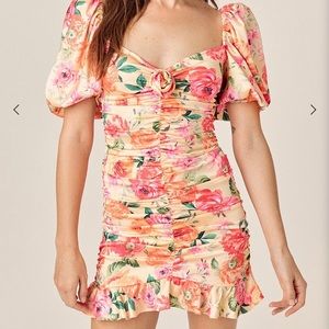 For Love and Lemons dress